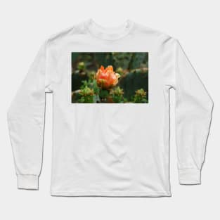 Orange Cactus Flower - Desert Blooming Long Sleeve T-Shirt